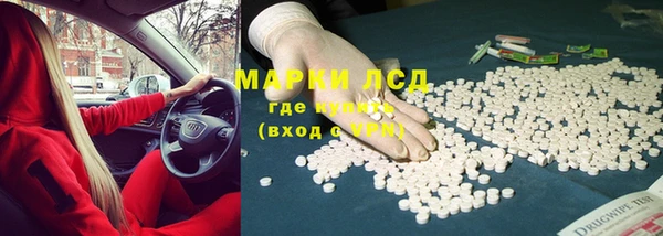 сатива Новозыбков